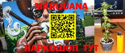 сатива Кулебаки