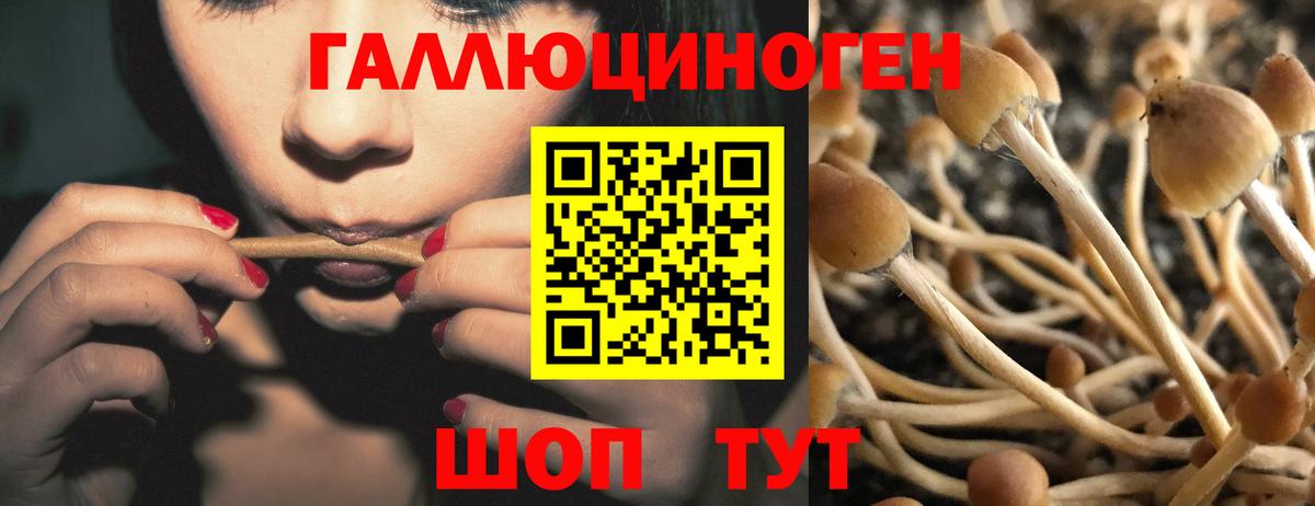 Галлюциногенные грибы GOLDEN TEACHER  купить наркоту  Учалы  Вход с VPN 