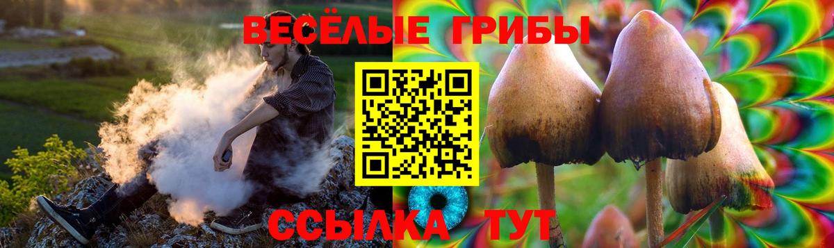 Псилоцибиновые грибы Cubensis Учалы
